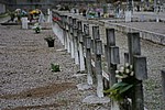063.jpg